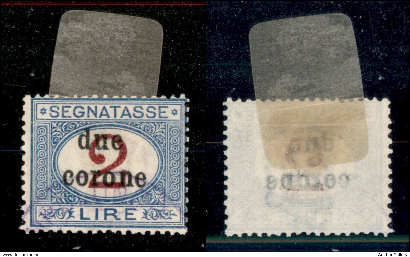 22042 OCCUPAZIONI - TRENTO E TRIESTE - 1919 – Segnatasse – 2 Corone Su 2 Lire (8) Usato (400) - Autres & Non Classés