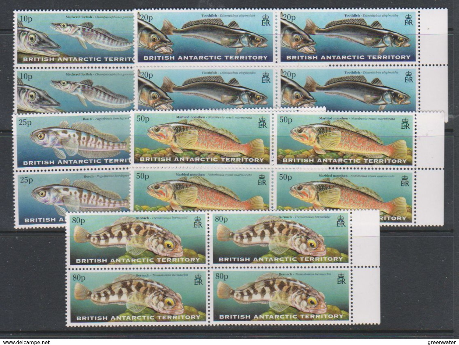 British Antarctic Territory (BAT) 1999 Fishes 5v Bl Of 4 ** Mnh (39816) - Ongebruikt