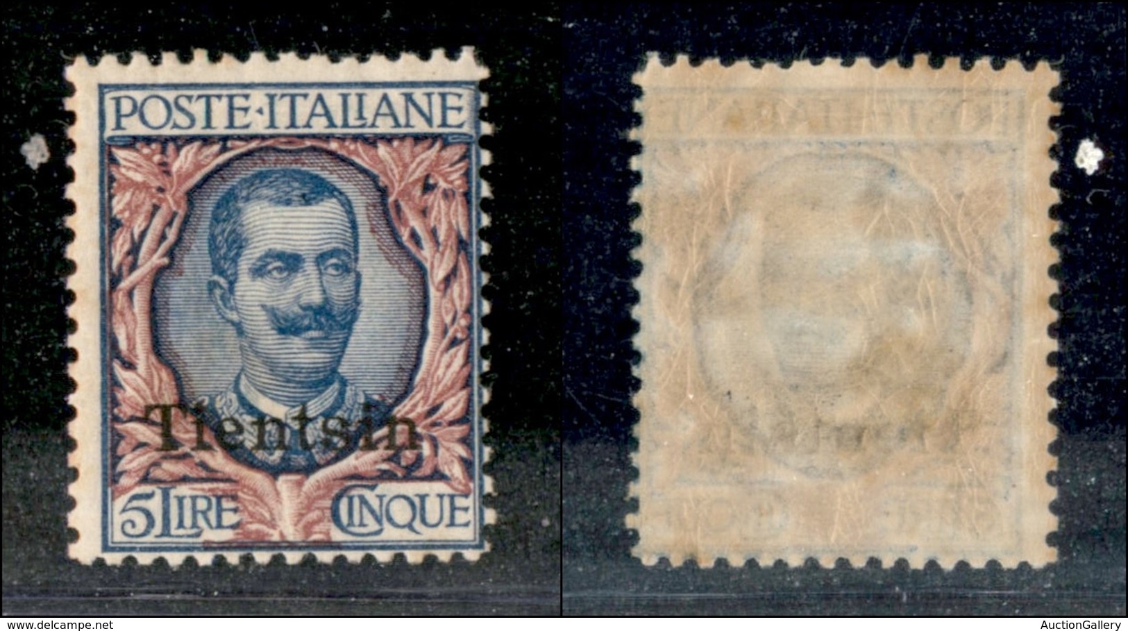 22826 UFFICI POSTALI IN CINA - TIENTSIN - 1917 - 5 Lire (12) - Gomma Integra (200) - Sonstige & Ohne Zuordnung