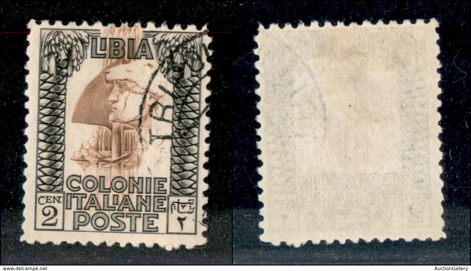 23156 COLONIE ITALIANE - LIBIA - 1930 - 2 Cent Pittorica (59) - Usato - Autres & Non Classés