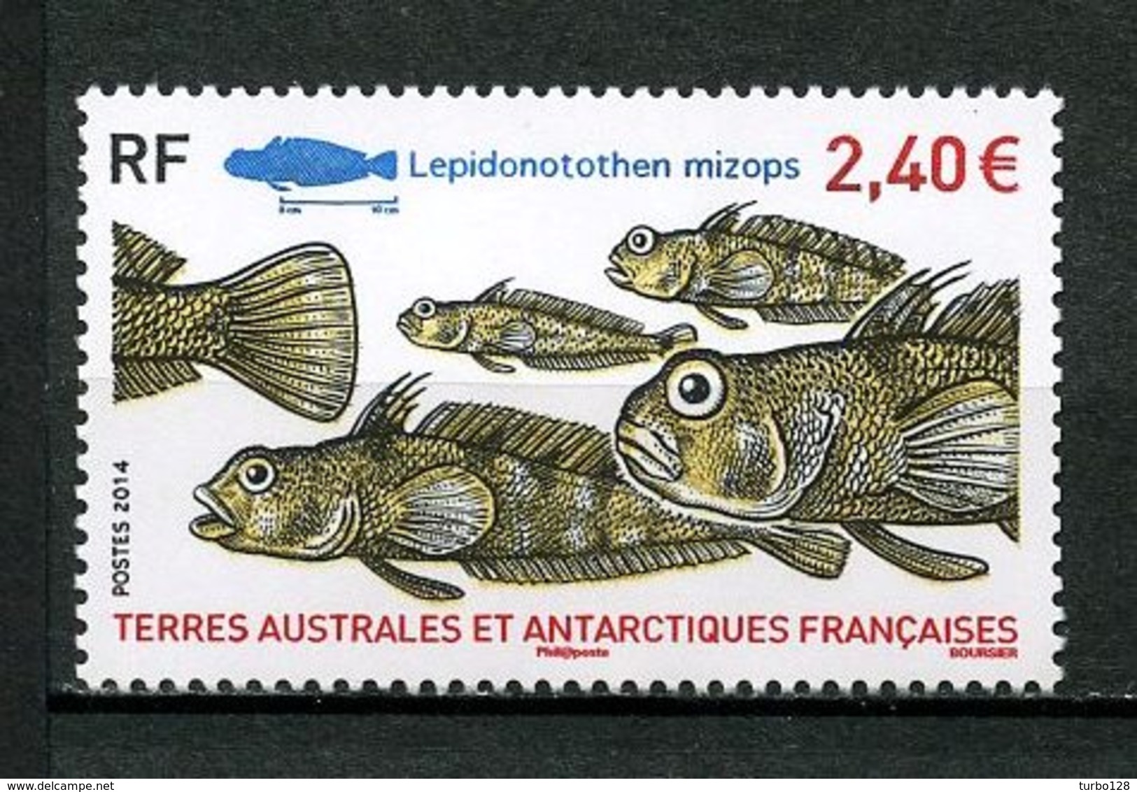 TAAF 2013  N° 690 ** Neuf  MNH Superbe Faune Poissons Lepidonotothen Mizops Fishes Animaux - Neufs