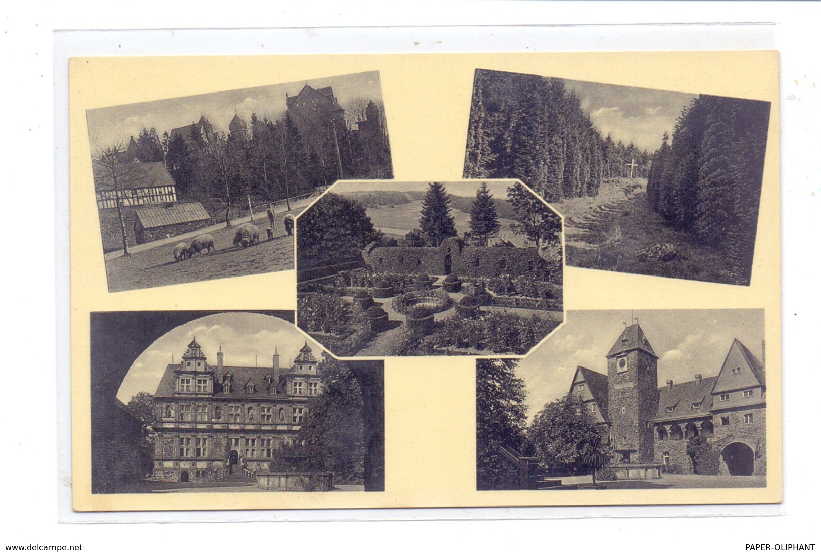 5244 DAADEN - FRIEDEWALD, Schloss Friedewald Und Umgebung, NSLB Hans-Schemm-Gauschule - Altenkirchen