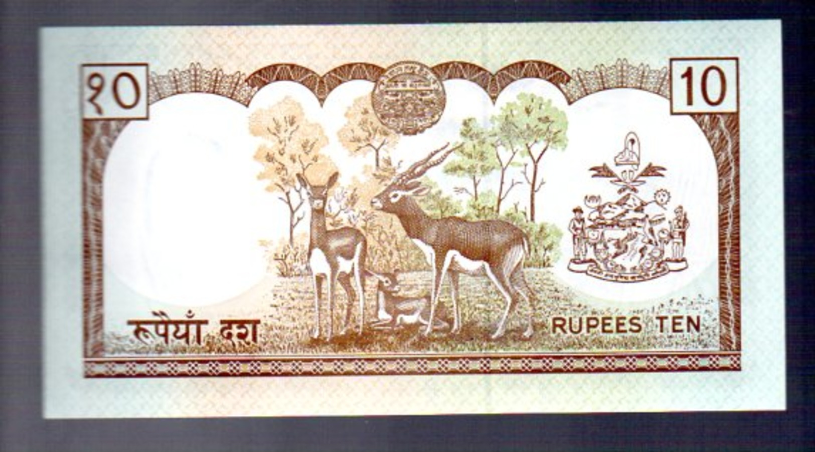 10 Rupee With Deer (B-19) - Nepal