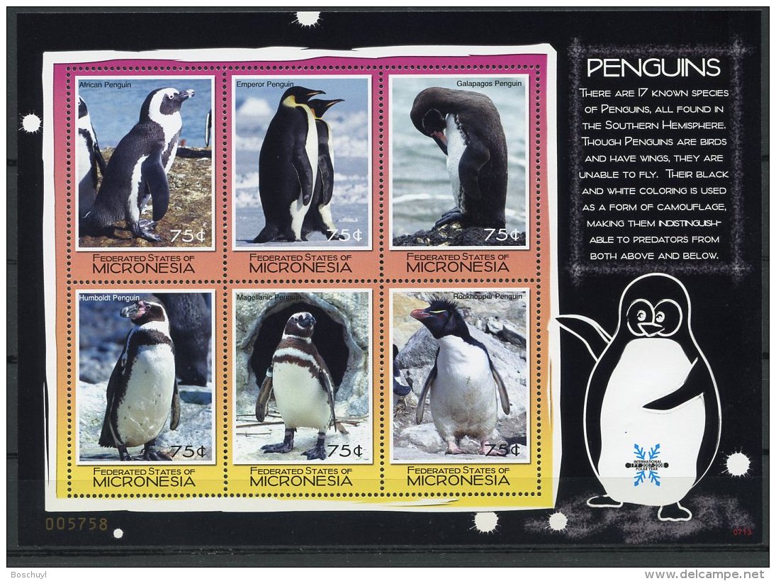 Micronesia, 2007, International Polar Year, Penguins, United Nations, MNH, Michel 1824-1829 - Micronesia