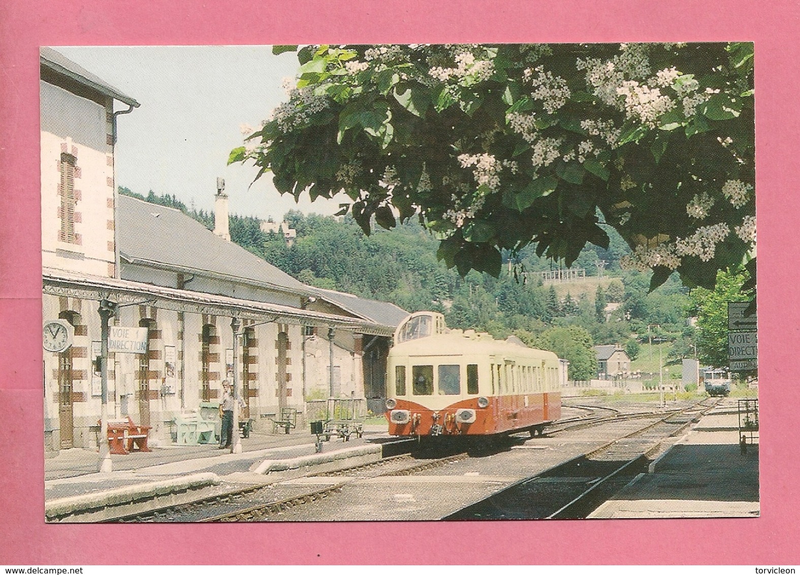 C.P. Bort-les-Orgues = TRAIN   L' X 4039 Stationne  En  Gare - Ussel