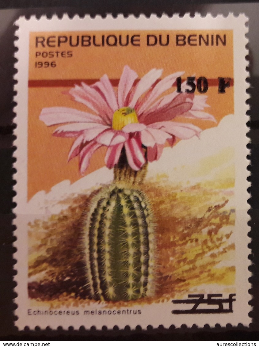 BENIN 1996 2000 - 349 MICHEL 1263 - CACTUS FLORE FLORA FLOWER - RARE MNH - Cactus