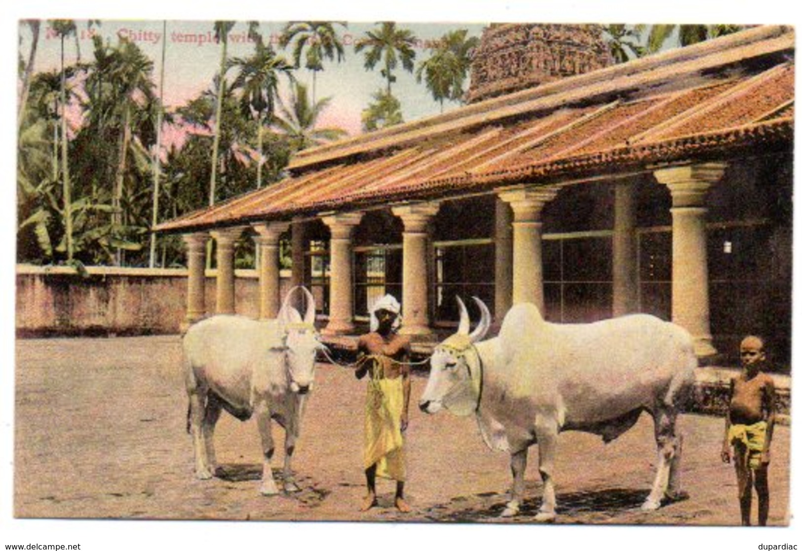 Malaisie - Malaysia /  Chitty Temple With The Holy Cows ( A. Kaulfuss N° 18). - Malaysia