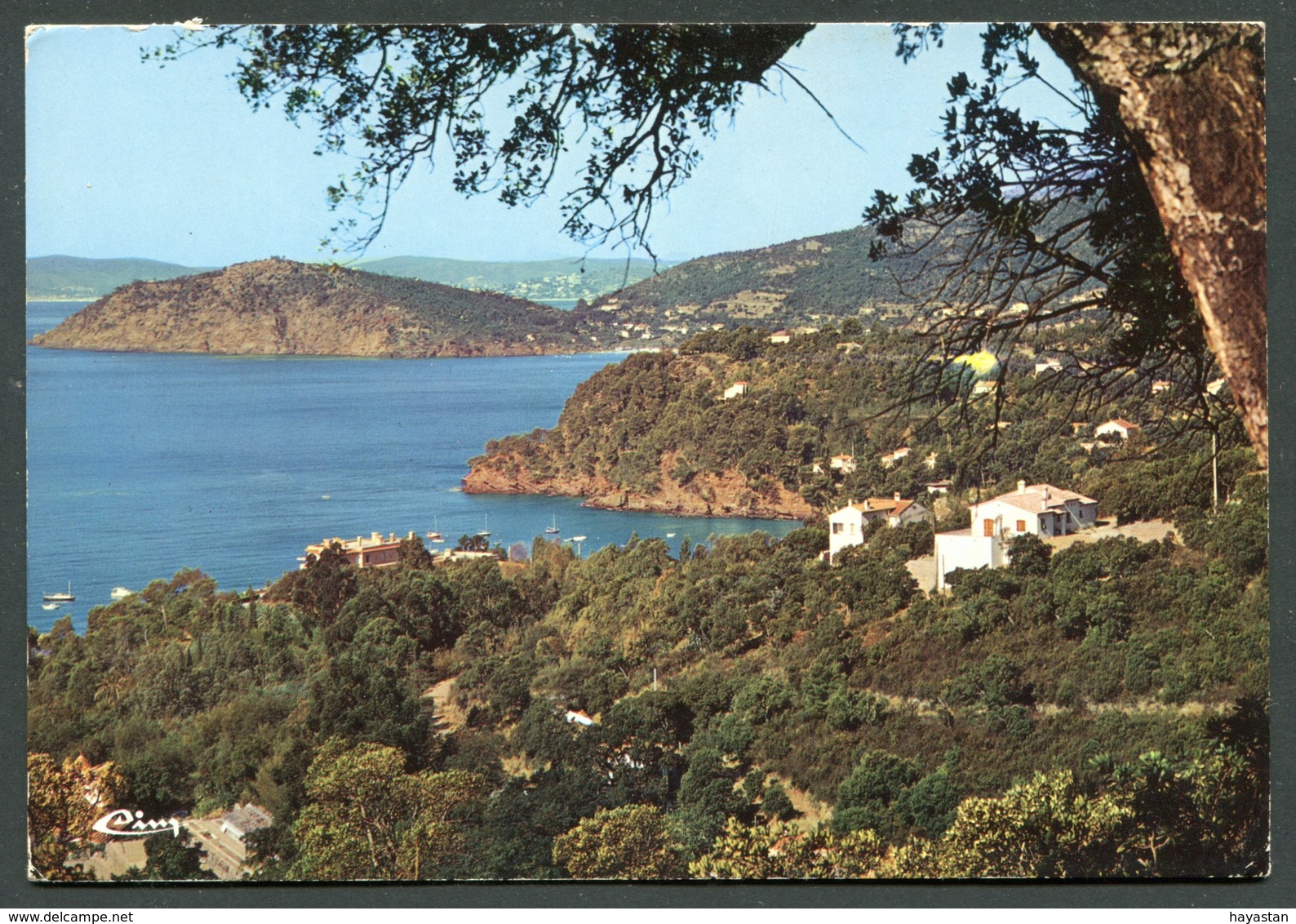 LE RAYOL - VUE GENERALE DU RAYOL ET DU CAP NEGRE - Rayol-Canadel-sur-Mer