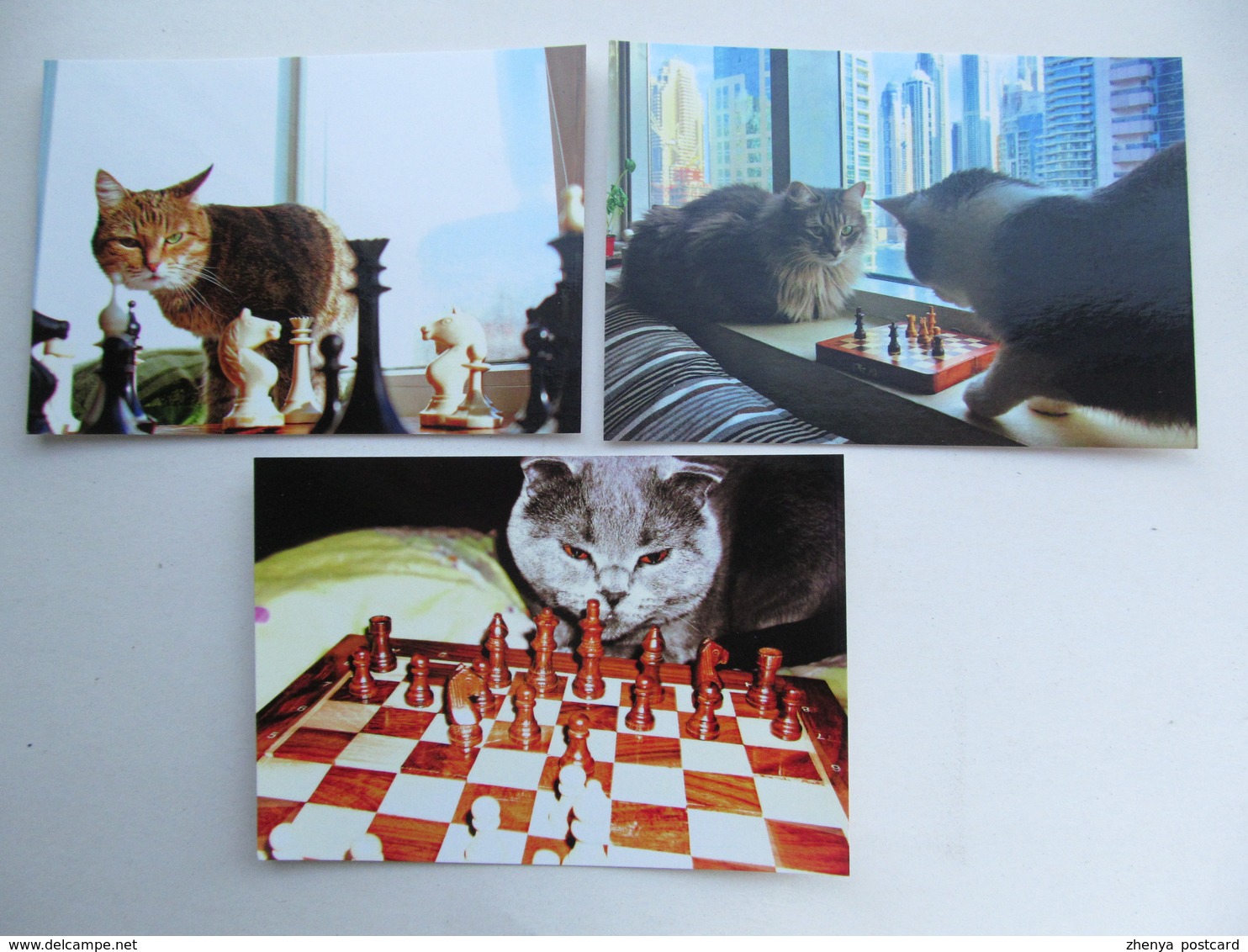 3 PCs Lot Cat Playing Chess   - Schach  - Ajedrez - Echecs - Echecs