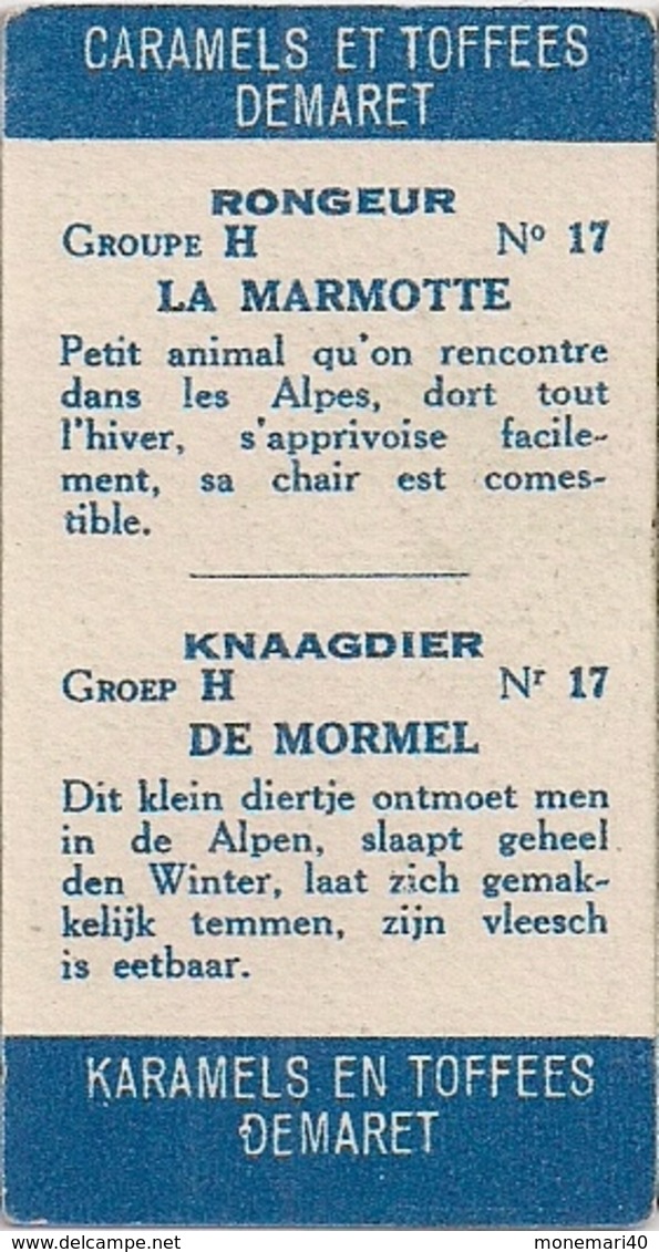 RONGEURS - MARMOTTE N° 17 - CARAMELS ET TOFFEES DEMARET (LOT DE 19 IMAGES) - Other & Unclassified