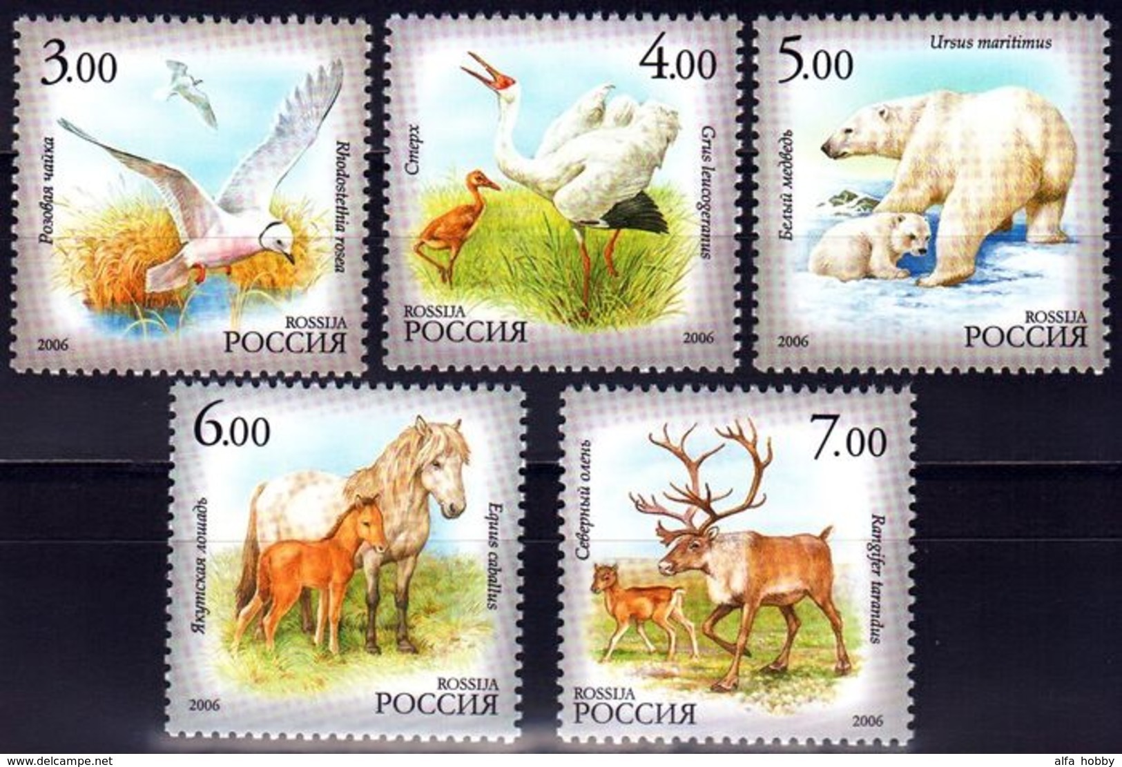 Russia, 2006, Polar Fauna, Birds, Bears, Deers, Horses, 5 Stamps - Unused Stamps