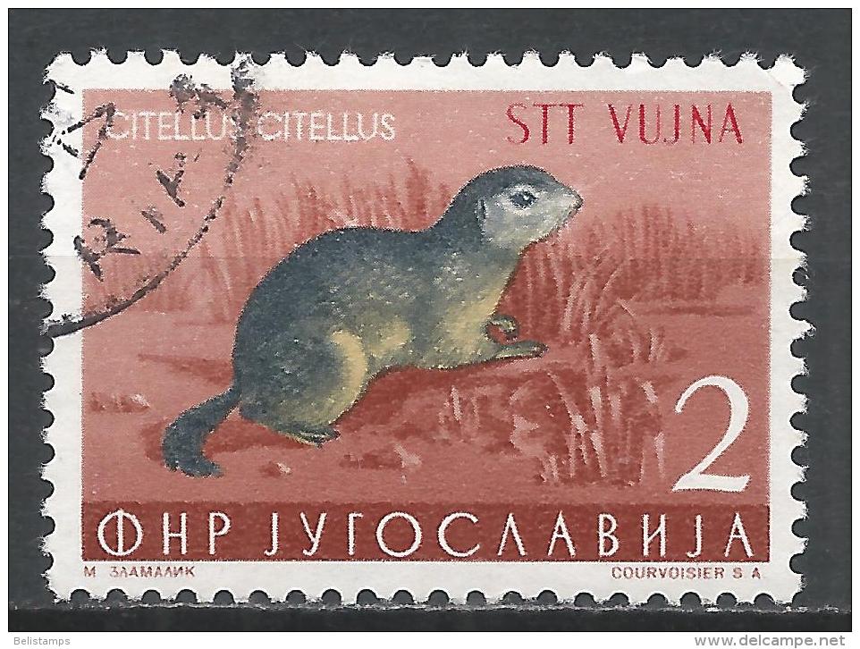 Yugoslavia (Trieste) 1954. Scott #93 (U) Ground Squirrel, Overprinted STT VUJNA * - Oblitérés