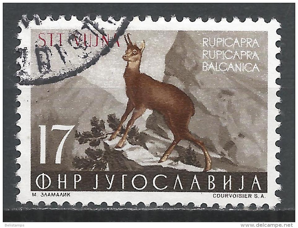 Yugoslavia (Trieste) 1954. Scott #97 (U) Chamois, Overprinted STT VUJNA * - Oblitérés