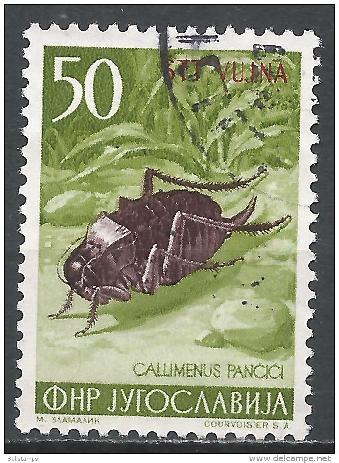 Yugoslavia (Trieste) 1954. Scott #101 (U) Bush Cricket, Insect, Overprinted STT VUJNA * - Oblitérés