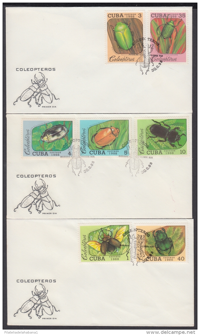 1988-FDC-67 CUBA 1988 FDC. COLEOPTEROS, INSECTS, ENTOMOLOGY. - FDC