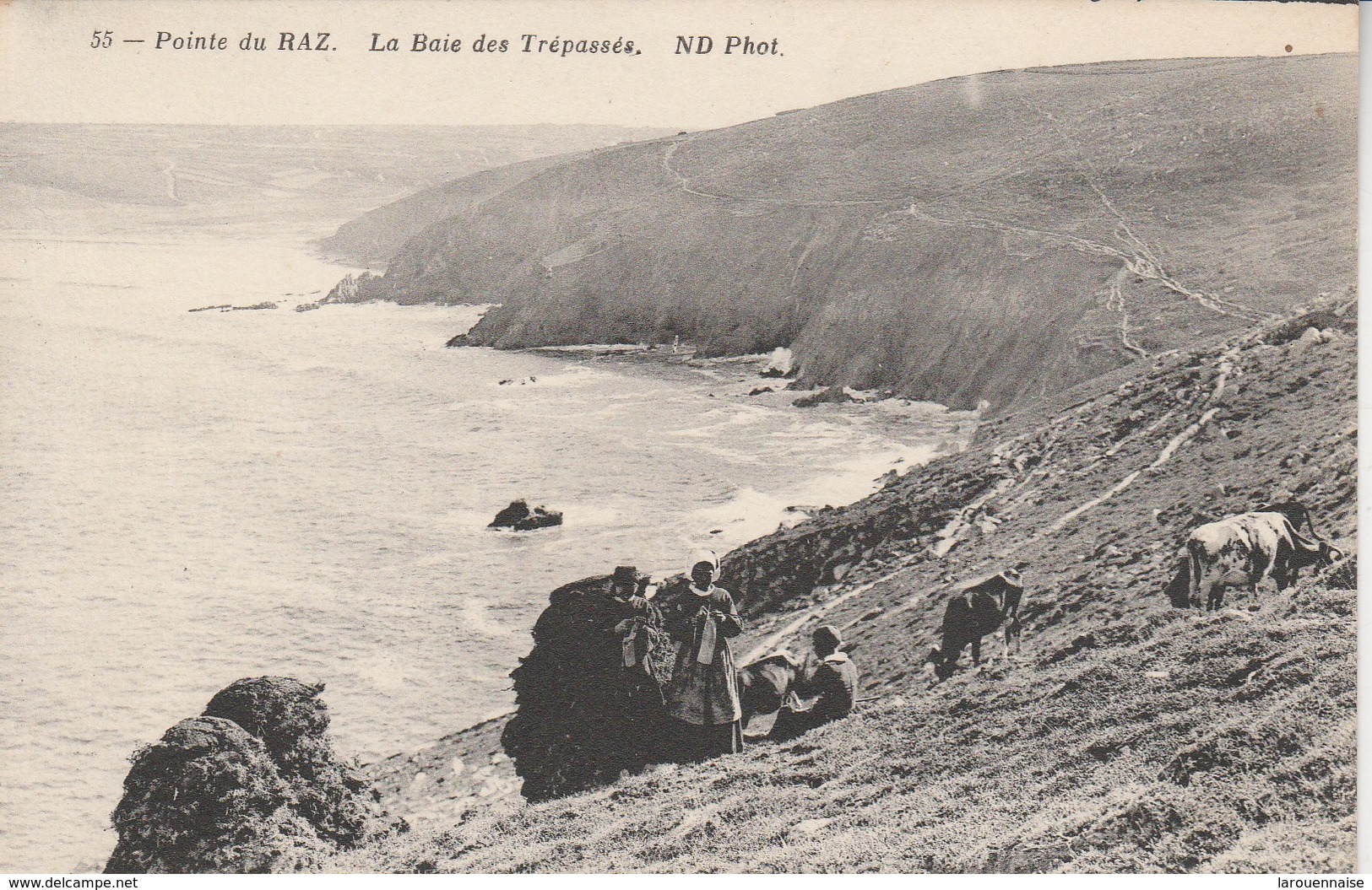 29 - PLOGOFF - Pointe Du Raz - La Baie Des Trépassés - Plogoff