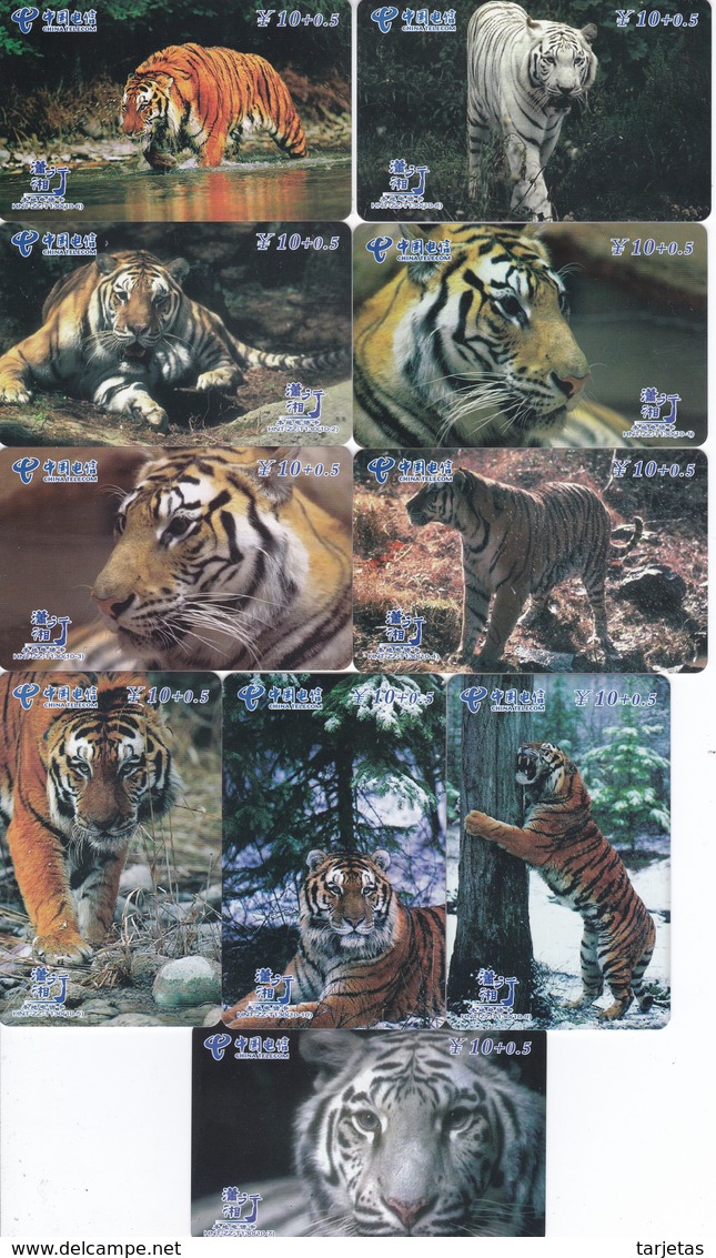 SERIE COMPLETA DE 10 TARJETAS DE CHINA DE UNOS TIGRES (TIGRE-TIGER) - Otros & Sin Clasificación