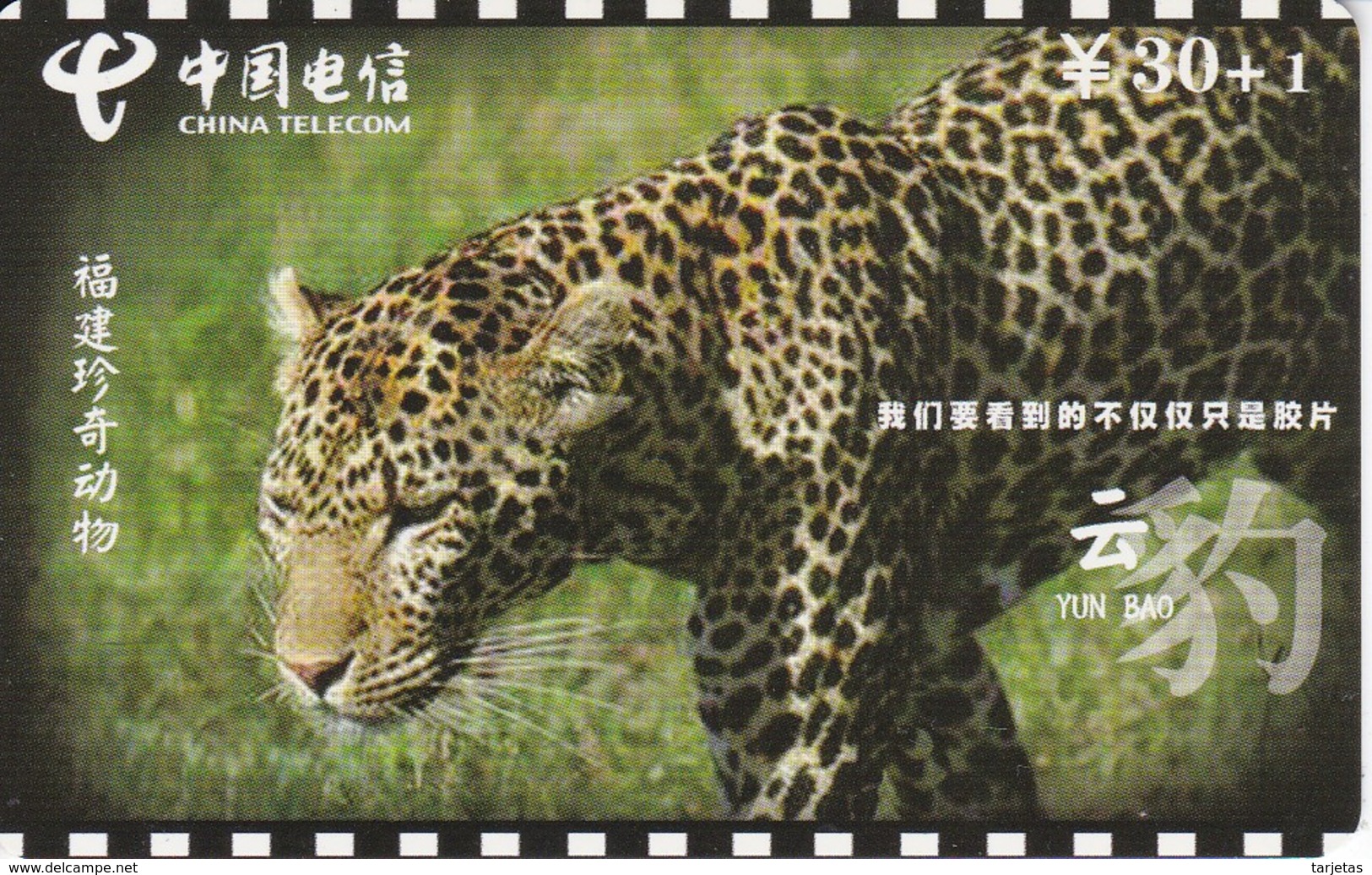 TARJETA DE CHINA DE UN LEOPARDO (LEOPARD) - Otros & Sin Clasificación