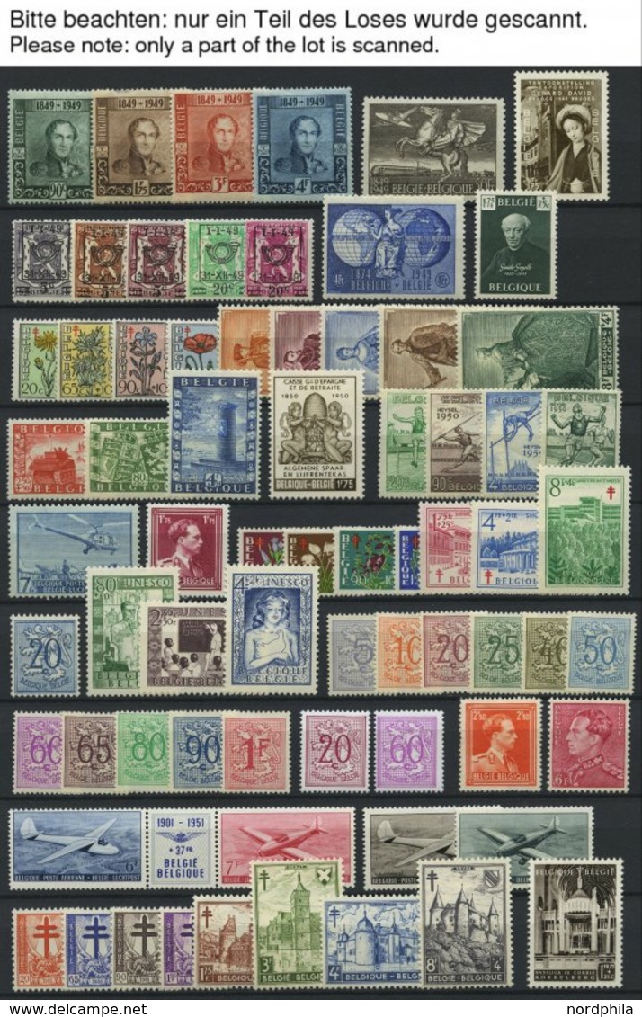 SAMMLUNGEN, LOTS *, Ungebrauchte Sammlung Belgien Von 1949-60 Mit Mittleren Ausgaben, Ab 1955 Bis Auf Bl. 25 Und Mi.Nr. - Sammlungen