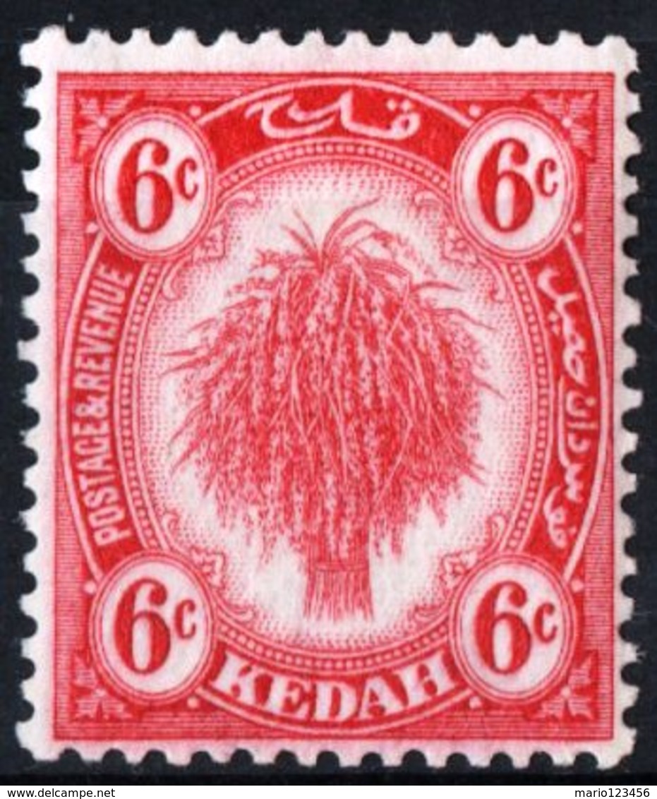 MALAYA KEDAH, AGRICOLTURA, 1926, FRANCOBOLLO NUOVO (MLH*) Scott 31 - Kedah