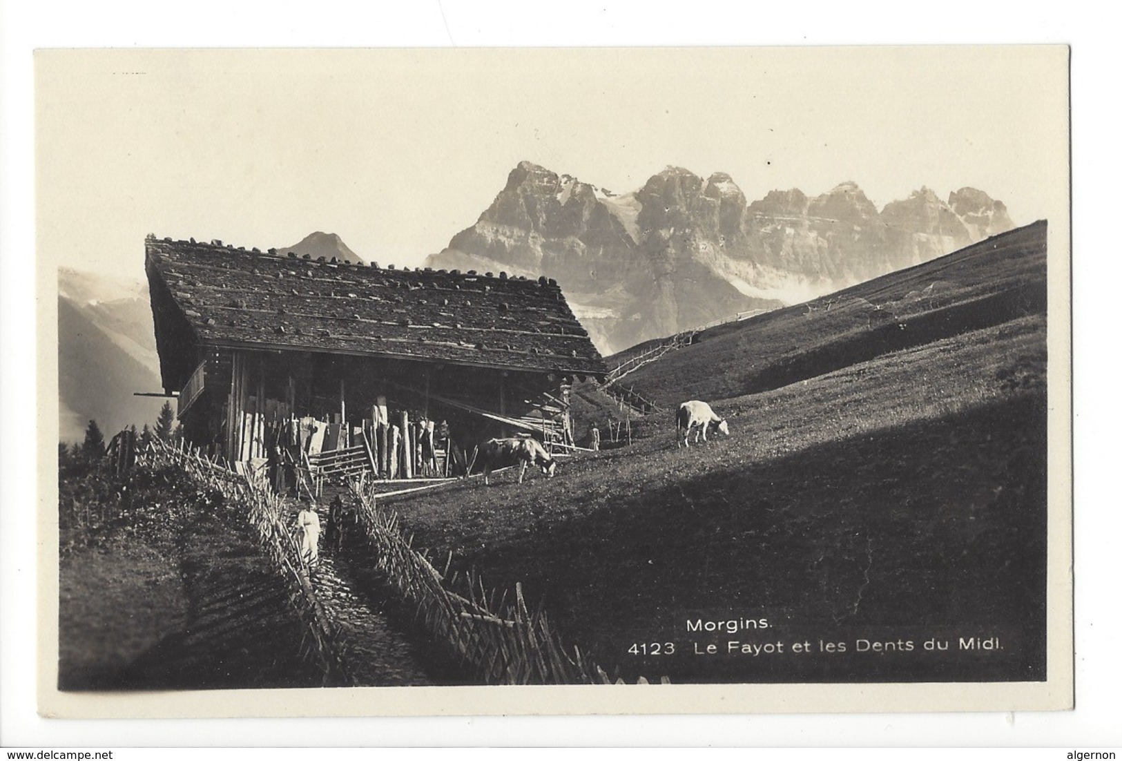 20368 - Morgins Le Fayotet Les Dents Du Midi Vaches - Autres & Non Classés