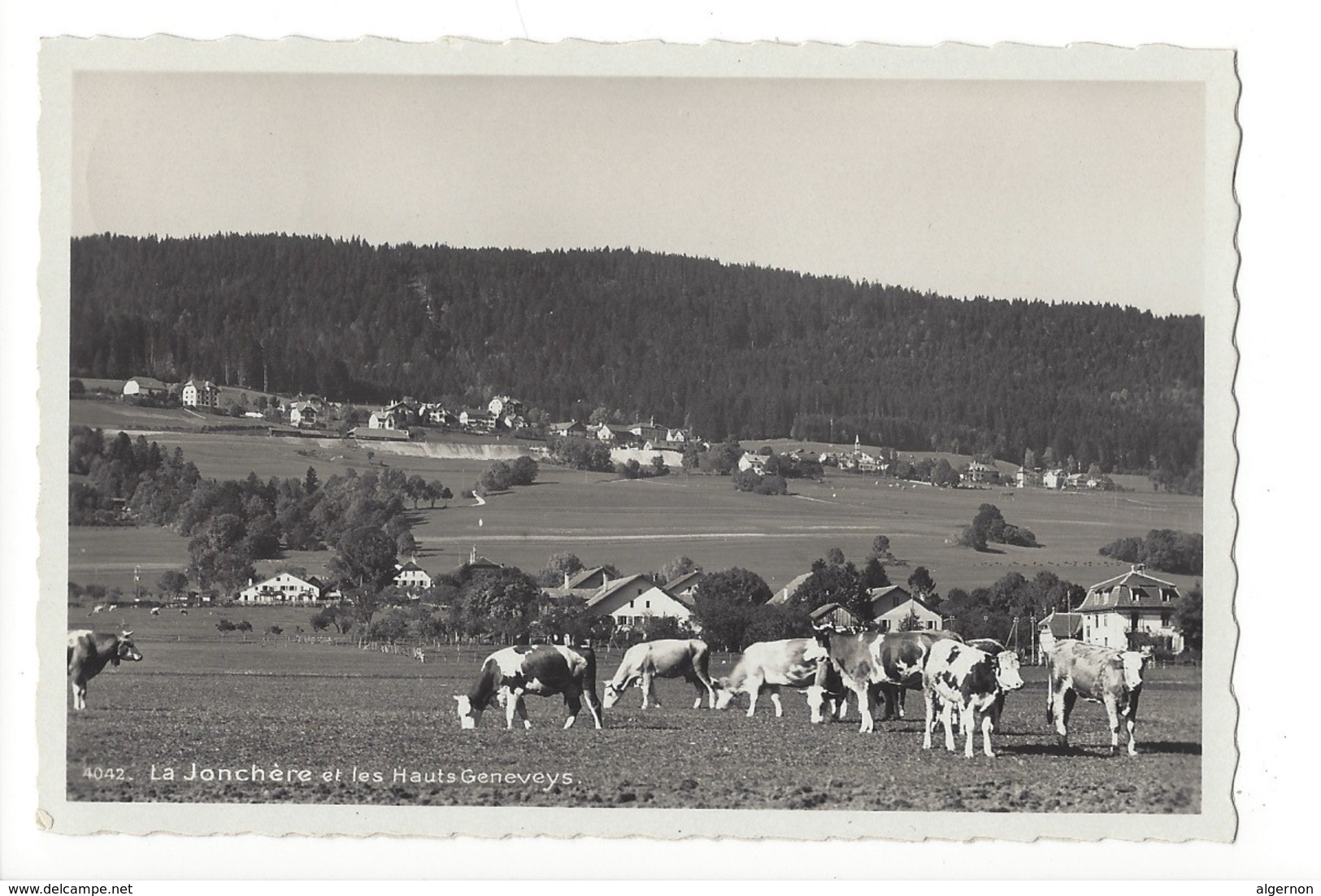 20371 - La Jonchère Et Les Hauts Geneveys Vaches - Geneveys