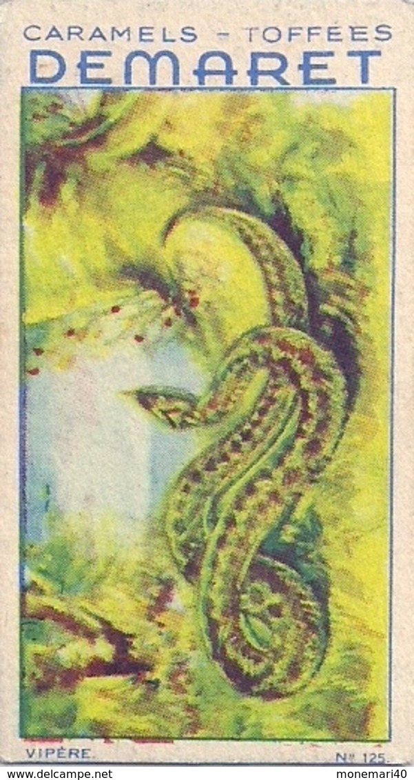 REPTILES - COULEUVRE n° 124 - CARAMELS ET TOFFEES DEMARET (LOT 13 IMAGES)