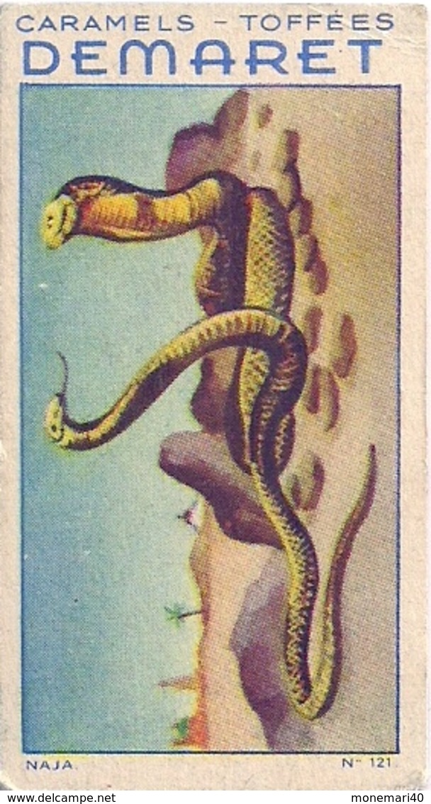 REPTILES - COULEUVRE n° 124 - CARAMELS ET TOFFEES DEMARET (LOT 13 IMAGES)