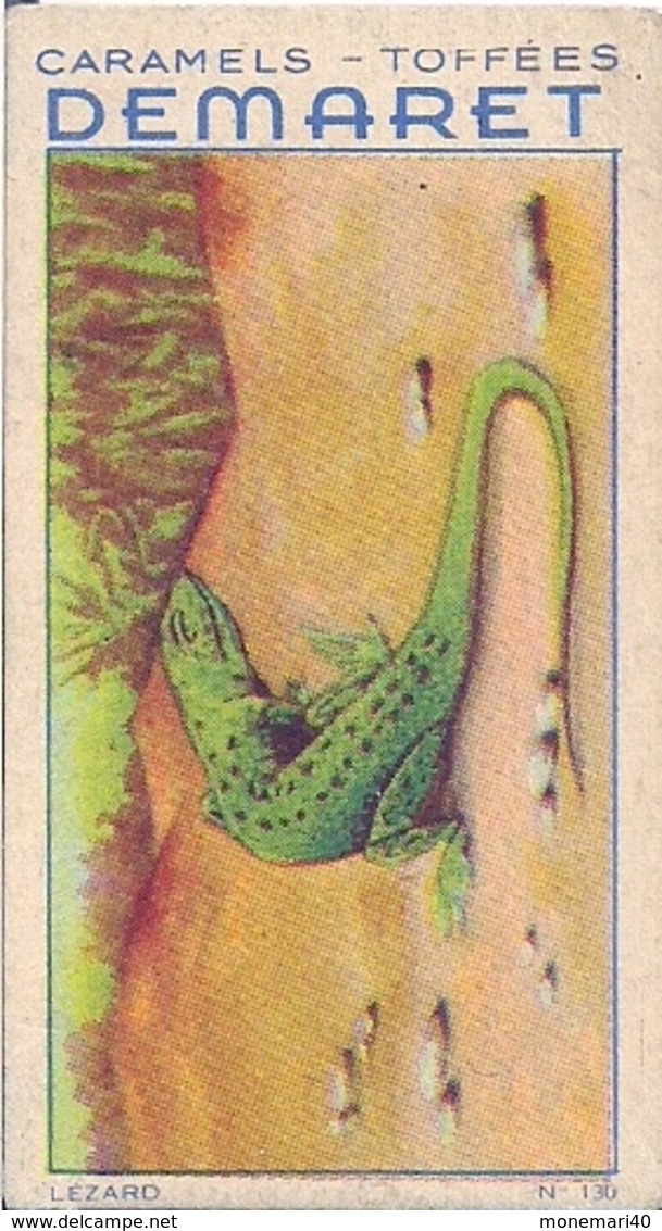 REPTILES - COULEUVRE n° 124 - CARAMELS ET TOFFEES DEMARET (LOT 13 IMAGES)