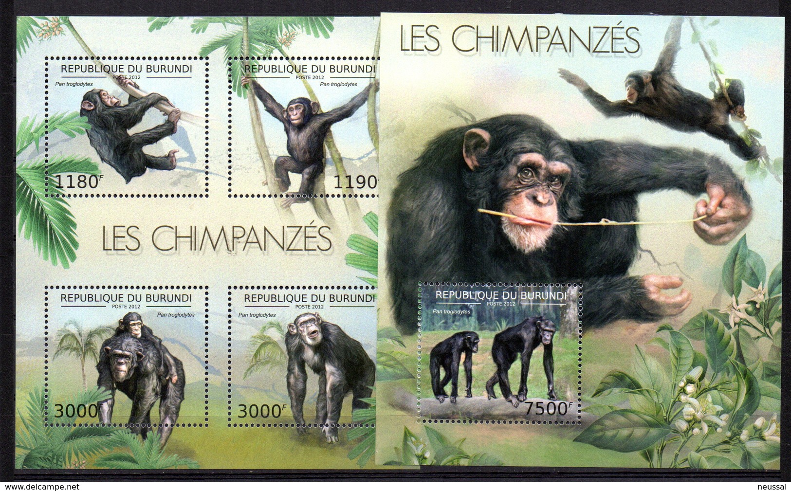 Serie De Chimpances  + Hb Chimpance  De Burundi 2012 - Chimpanzés