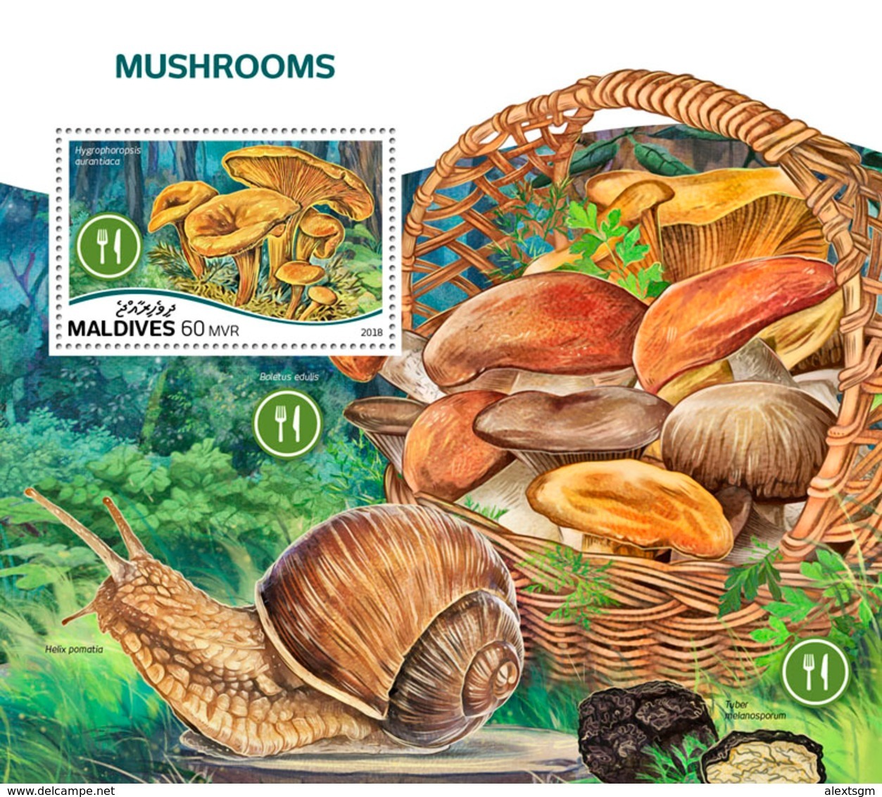 MALDIVES 2018 - Mushrooms S/S Official Issue - Funghi