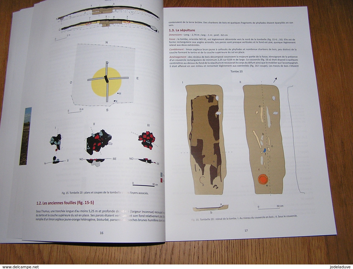 FOUILLES 2009 2015 DE LA NECROPOLE CELTIQUE à TOMBELLES DE BOVIGNY Hastape Régionalisme Archéologie Luxembourg Celtes