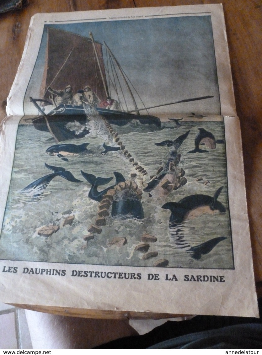 1913 LE PETIT JOURNAL:Les Dauphins Destructeurs De La Sardine; Les Amazones D'Islington ; Etc - 1850 - 1899