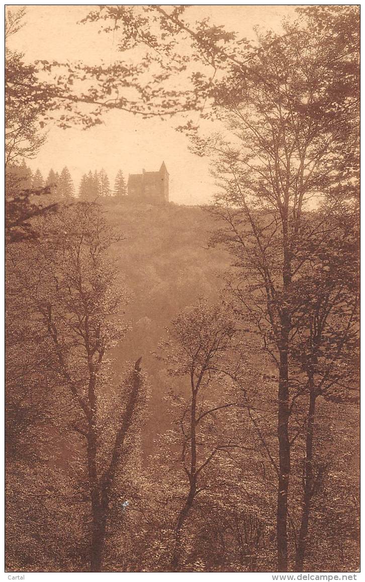 LAVACHERIE - Château Du Celly - Sainte-Ode