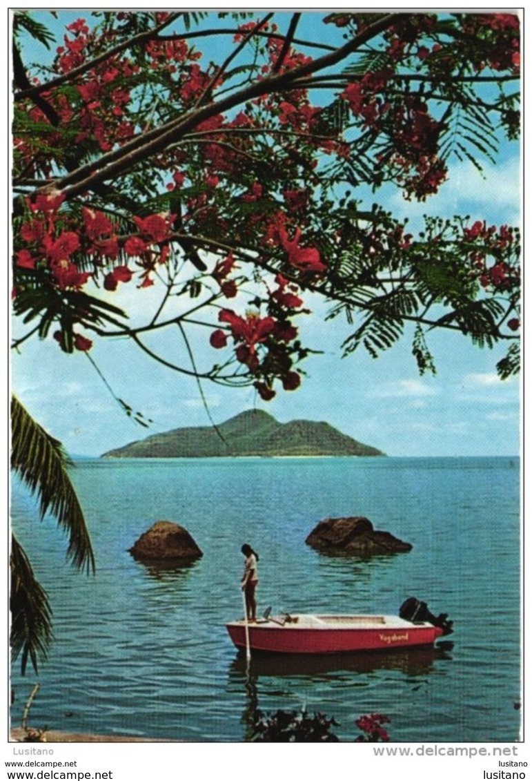 SEYCHELLES ST ANNE ISLAND UNUSED POSTCARD - Seychelles