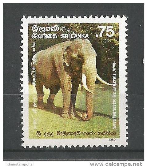 Sri Lanka 1989 1989 Elephant 1v MNH, Raja Tusker - Elefanten