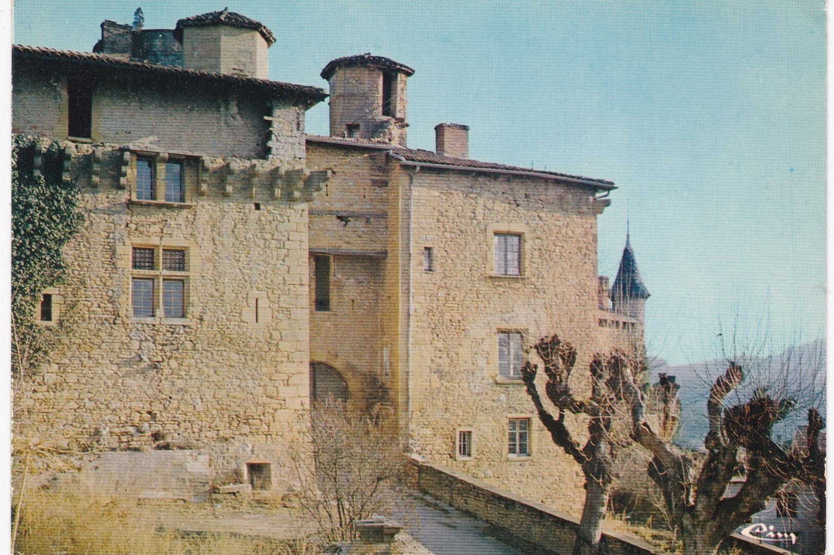 Rhône - CHESSY-les-MINES - Le Château - Autres & Non Classés