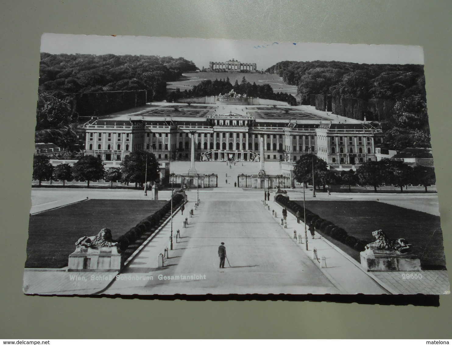 AUTRICHE VIENNE WIEN SCHLOSS SCHÖNBRUNN  GESAMTANSICHT - Château De Schönbrunn