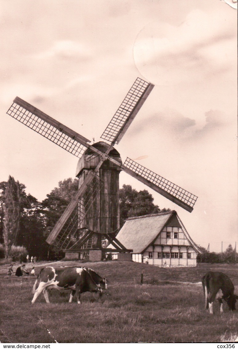 CPSM BOCKWINDMUHLE MOULIN - Muenster