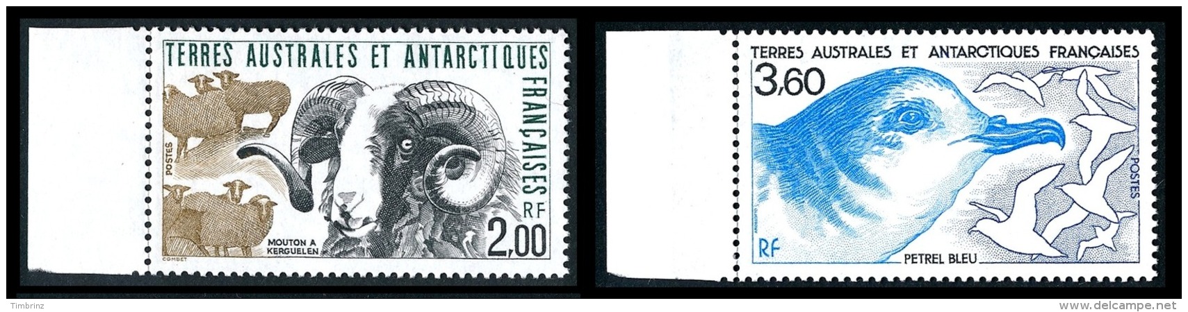 TAAF Année complète 1989 + AVION + BF - Yv. 140/147 + PA 103/109 + BF 1 ** SUP  Faciale= 18,31 EUR - 20 timbres  ..Réf.T