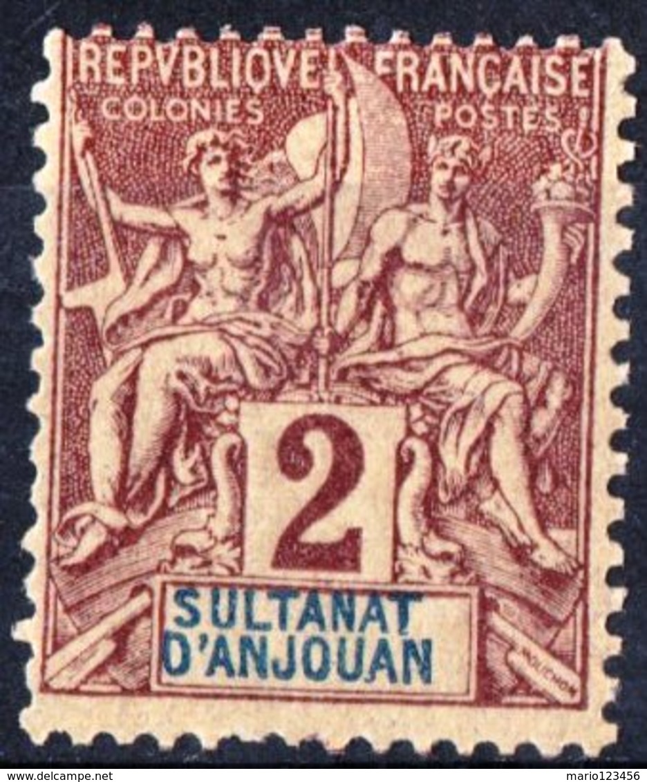 SULTANAT D’ANJOUAN, COLONIA FRANCESE, FRENCH COLONY, TIPO “GROUPE”, FRANCIA, FRANCE, 1892, NUOVO (MLH*) Michel 2 Scott 2 - Unused Stamps