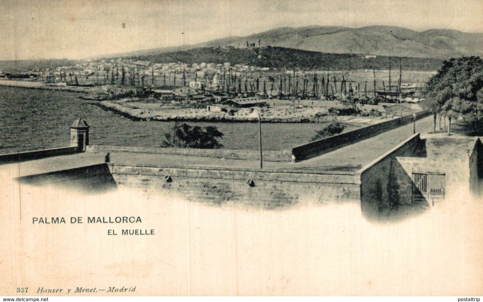 PALMA DE MALLORCA EL MUELLE HAUSER Y MENET - Árboles