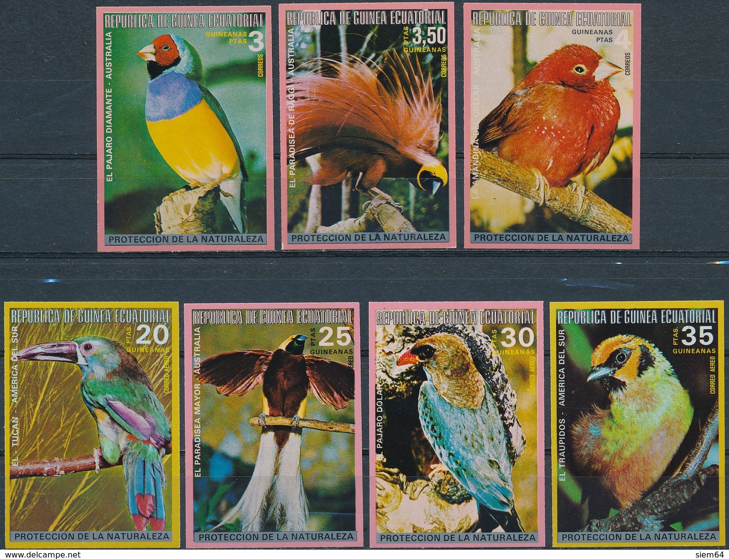 Equtoriaal Guinea  Vogels - Zangvogels