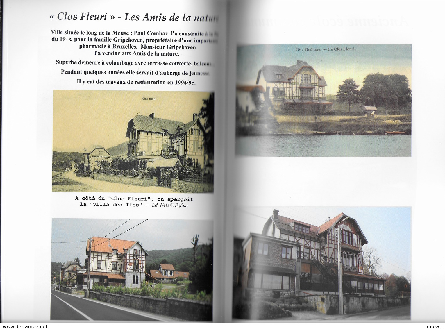 Godinne. Un Regard Sur Le Passé Et Le Présent. Yvoir. Photos Et Anciennes Cartes Postales - Belgique