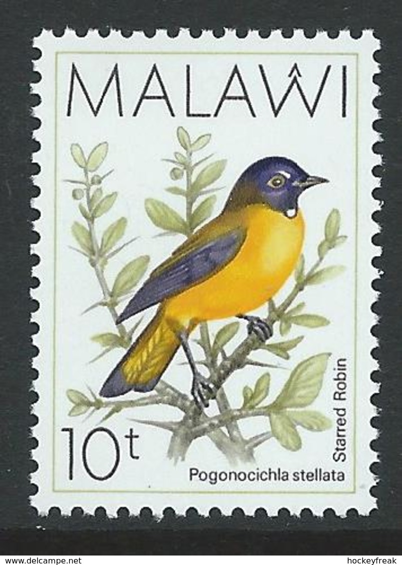 Malawi 1995 - 10k Starred Robin - Additional Value To Original Set SG804a MNH Cat £9 SG2015 - Passereaux