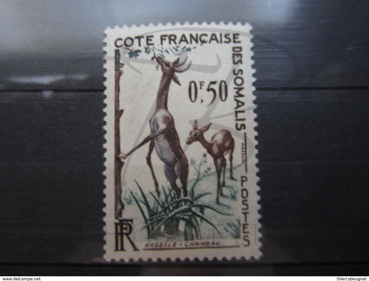 VEND BEAU TIMBRE DE LA COTE FRANCAISE DES SOMALIS N° 289 , XX !!! - Neufs