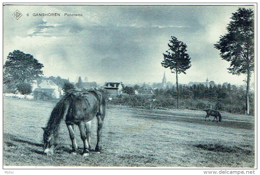 Ganshoren. Panorama Avec Cheval. - Ganshoren