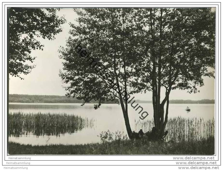 Lindow / Mark - Gudelacksee - Foto-AK Grossformat - Lindow