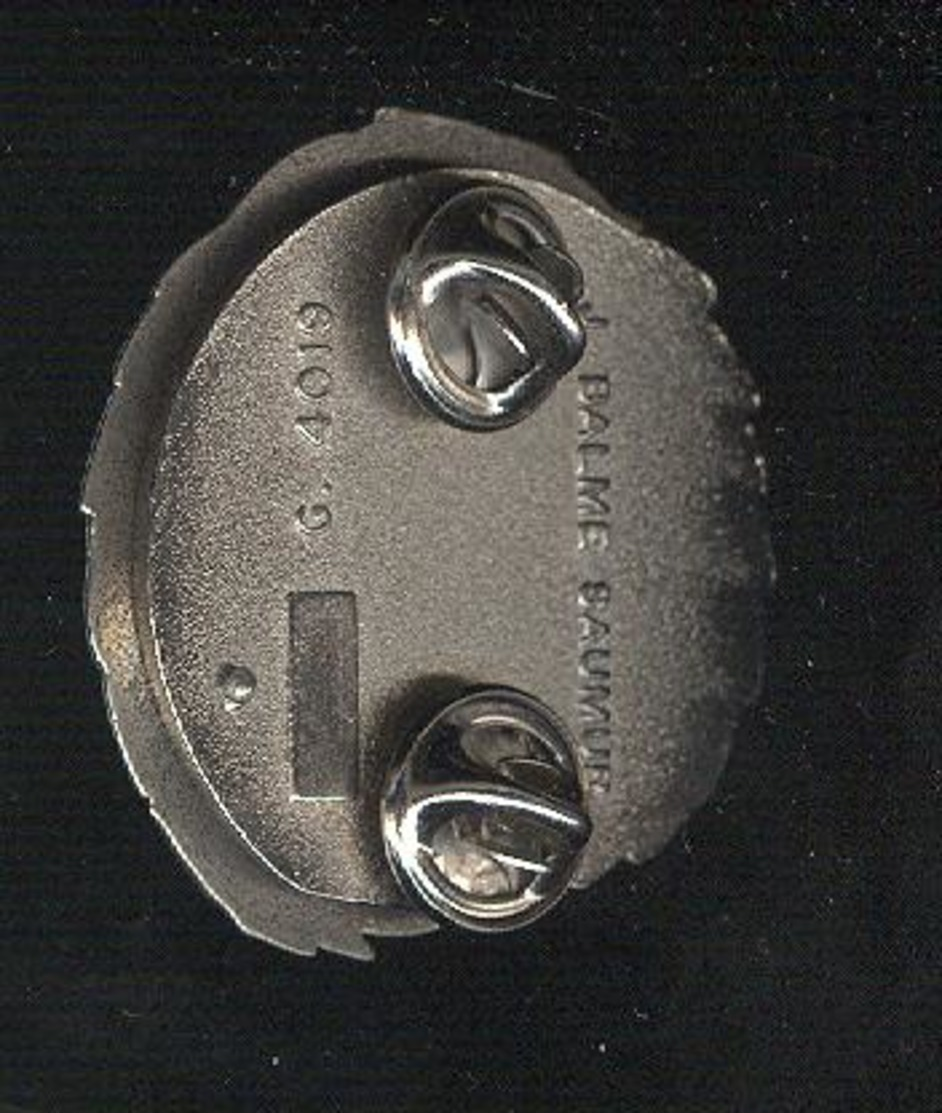 Insigne 54 Régiment De Transmissions - Pin's - Balme - Armée De Terre