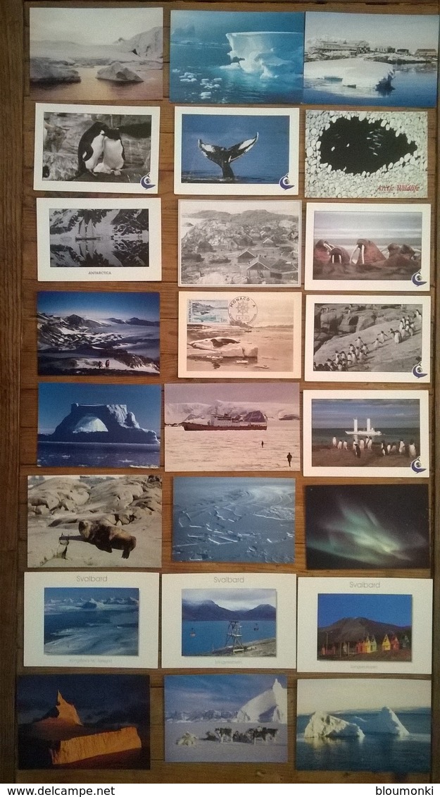 Lot De 24 Cartes Postales ANTARCTICA Missions Polaires Manchots Esquimaux Terres Australes /c - Missionen